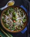 Pho-Reisbandnudelsuppe